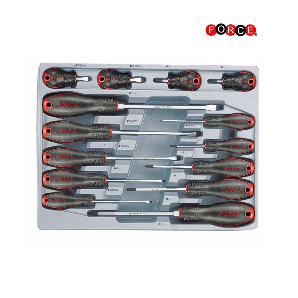 tand Aja Snel 2142 FORCE Tooltray schroevendraaier set Plat & Philips 14 delig - VDH Tools