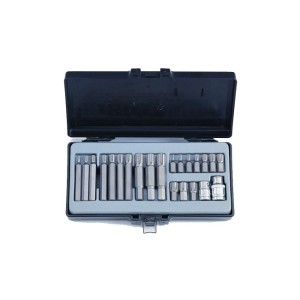 FORCE 1/2" en 3/8" Bit set Ribe 22-delig