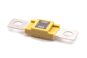 Zekering mega 100A (1 st.)