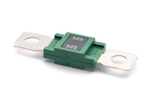 Zekering mega 125A (1 st.)