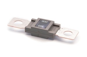 Zekering mega 300A (1 st.)